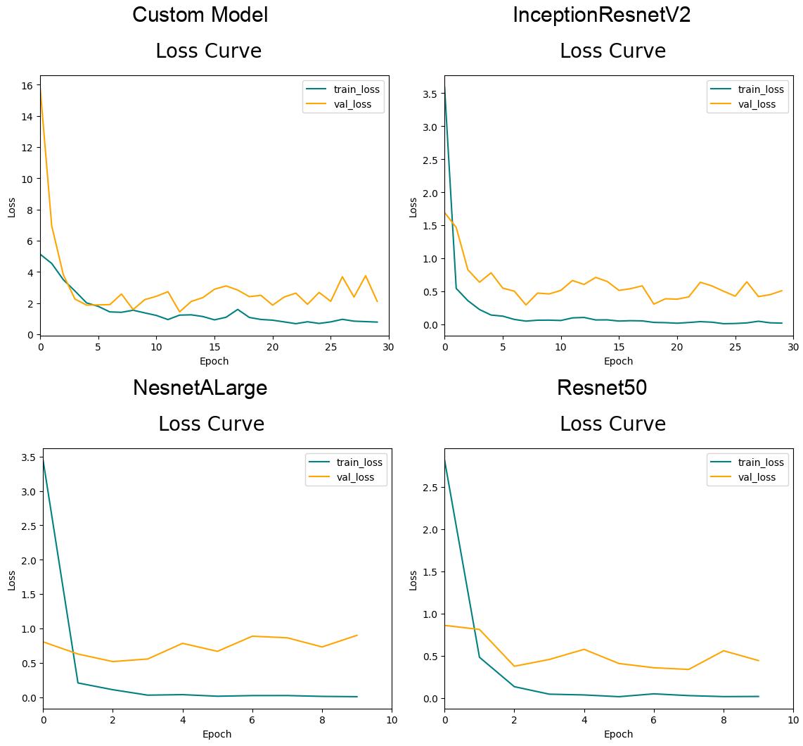 Loss Curve